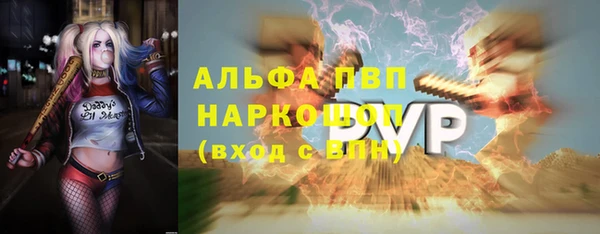 шишки Тайга