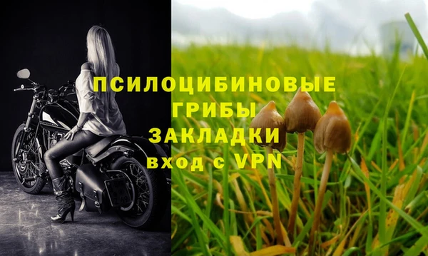 марки lsd Нязепетровск