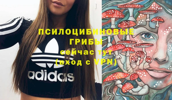 мяу мяу мука Чердынь